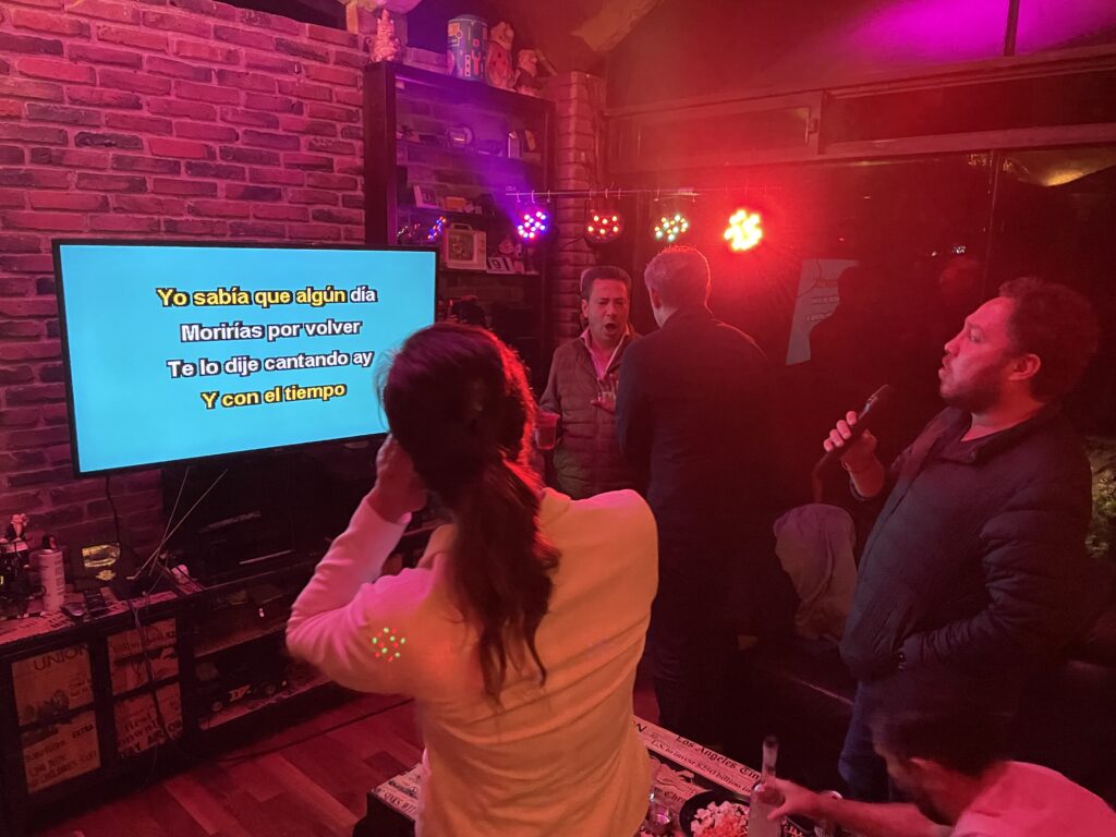 Renta de Karaoke para Fiestas