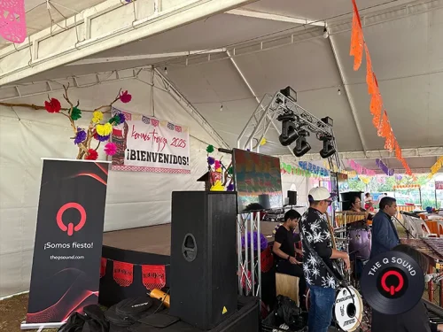 Equipo-de-sonido-para-fiestas-en-Tlalpan (1)