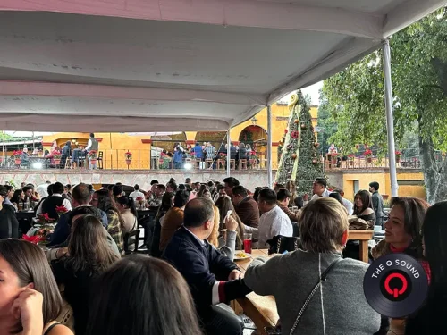 Renta-de-DJ-en-Milpa-Alta