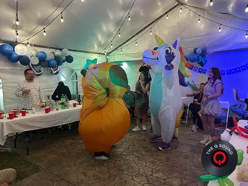 Sonido-para-fiestas-en-CDMX