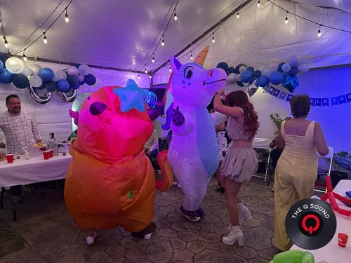 Sonido-para-fiestas-en-zona-sur